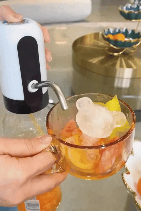 مضخة توزيع المياه الكهربائية المحمولة