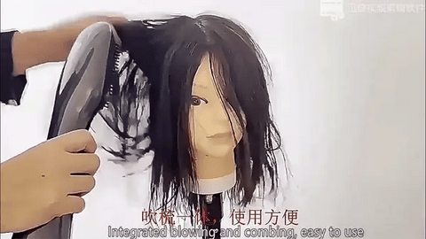 ريفورا - مصفف شعر فريد 2 في 1